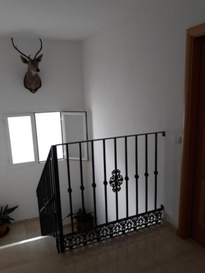 Ático céntrico, Antequera